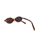 Quattro | Tortoise