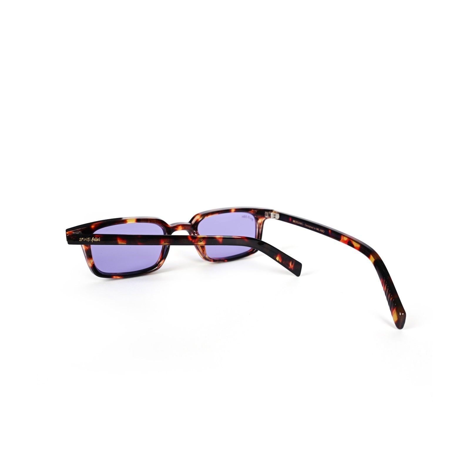 Bergamo | Tortoise