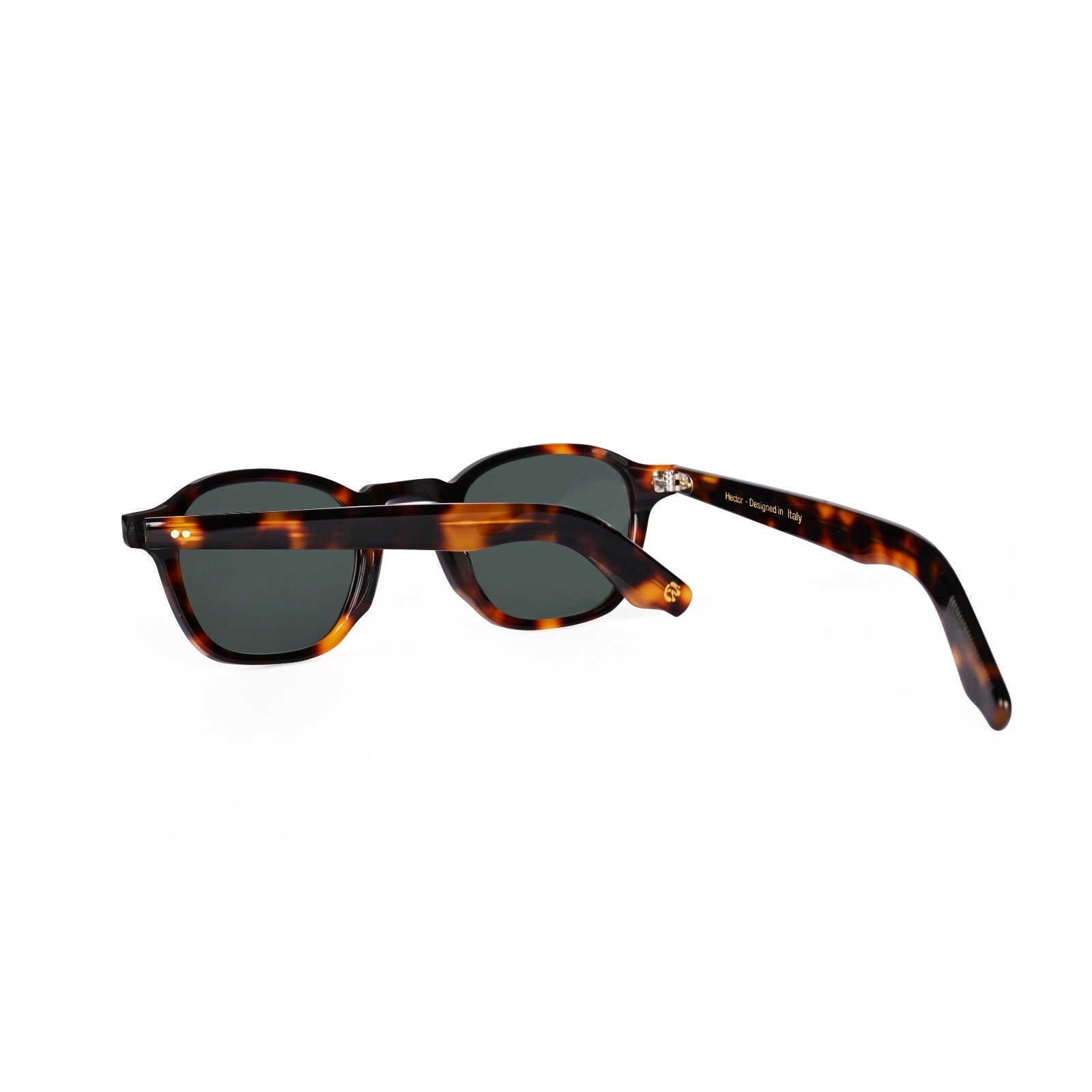 Hector | Tortoise G15