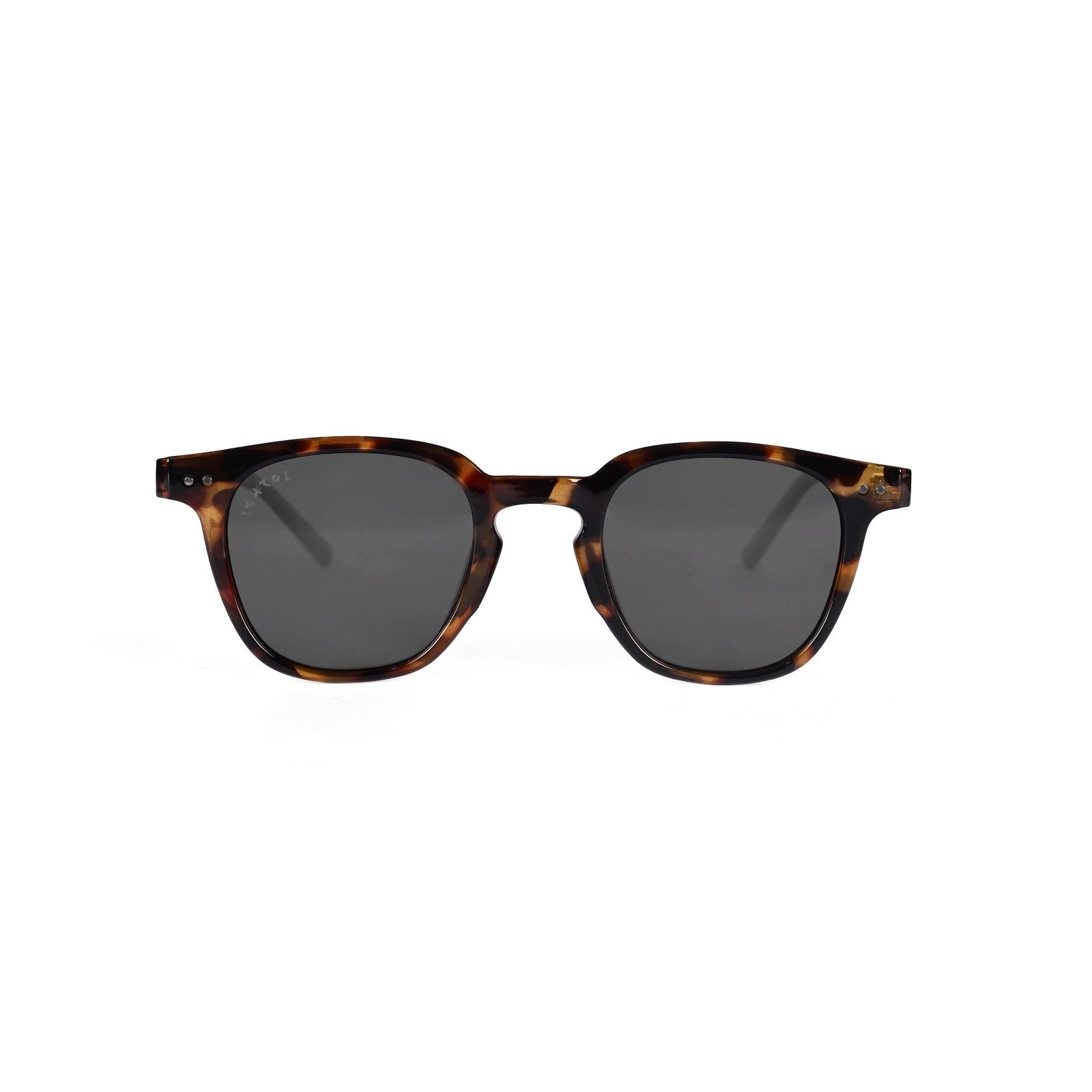Wink | Tortoise