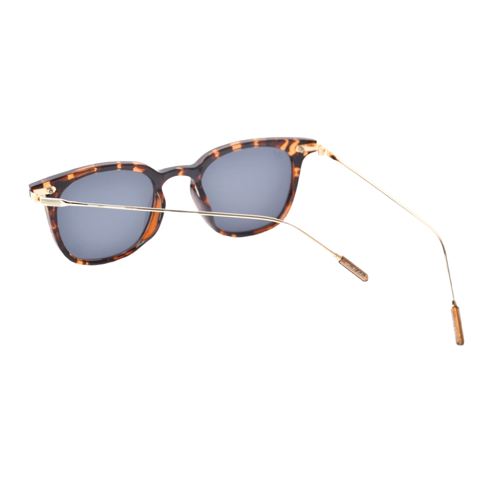 Safari | Brown