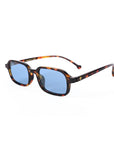 Cinque | Tortoise