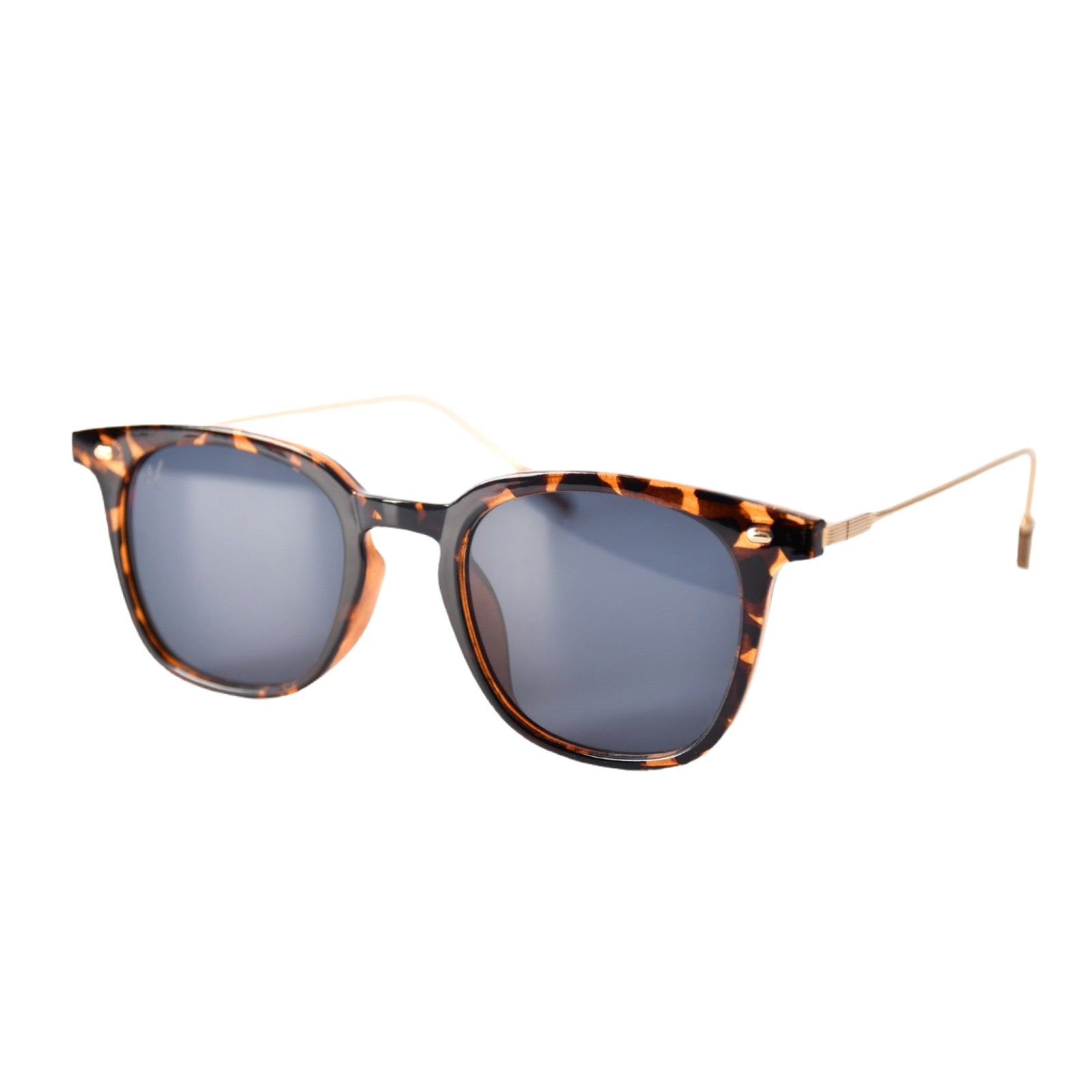 Safari | Brown
