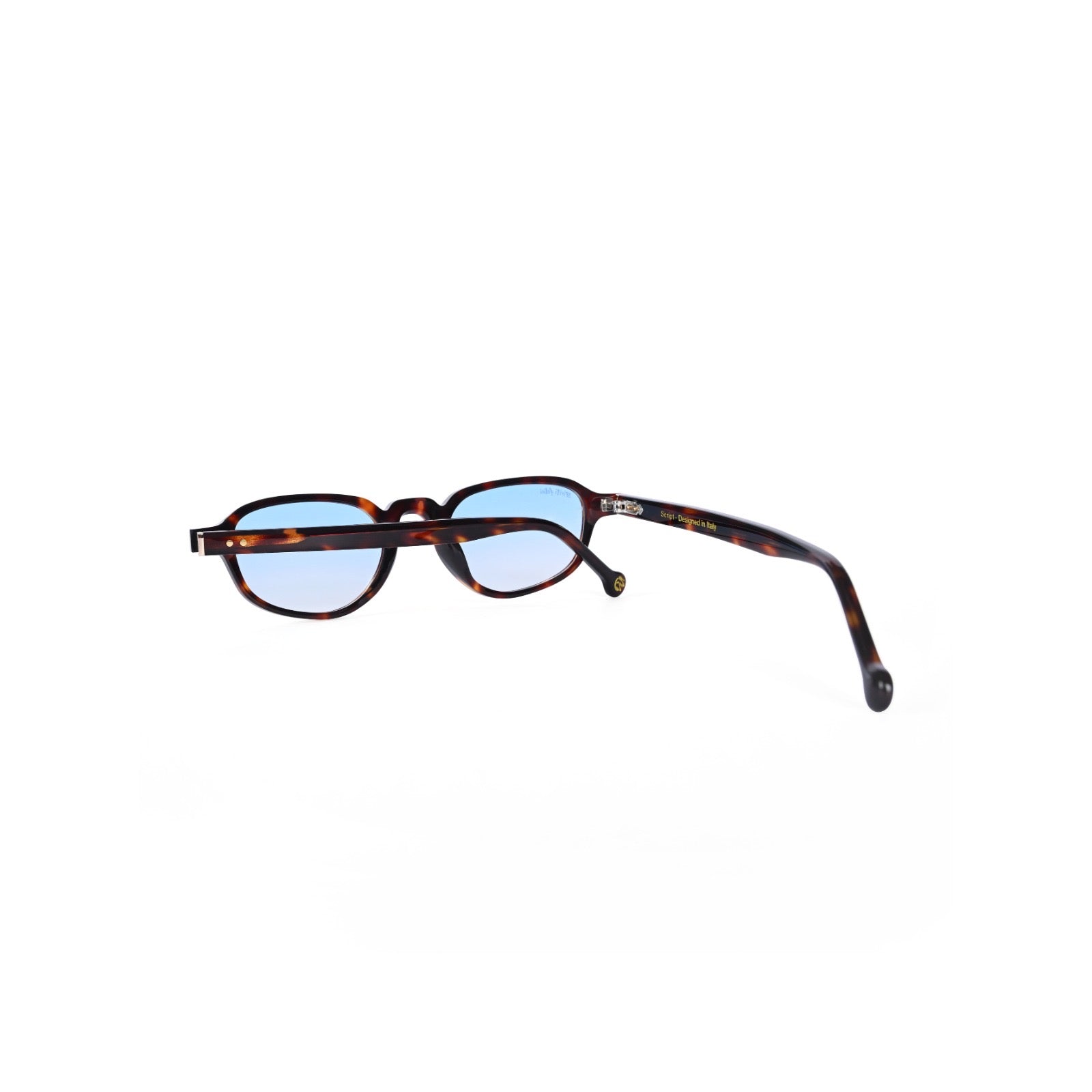 Script | Tortoise Blue