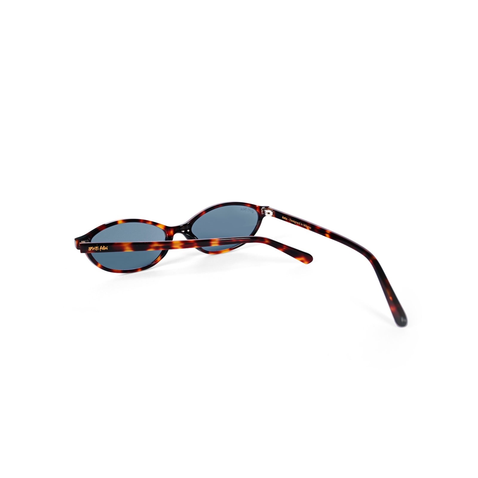Gatta | Tortoise