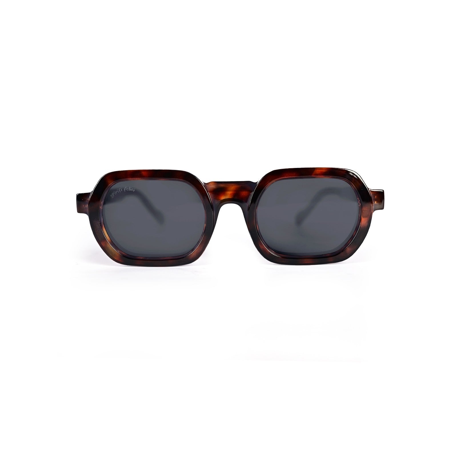 Traveller | Tortoise
