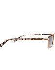 ZENITH | Brown