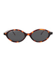 Quattro | Tortoise