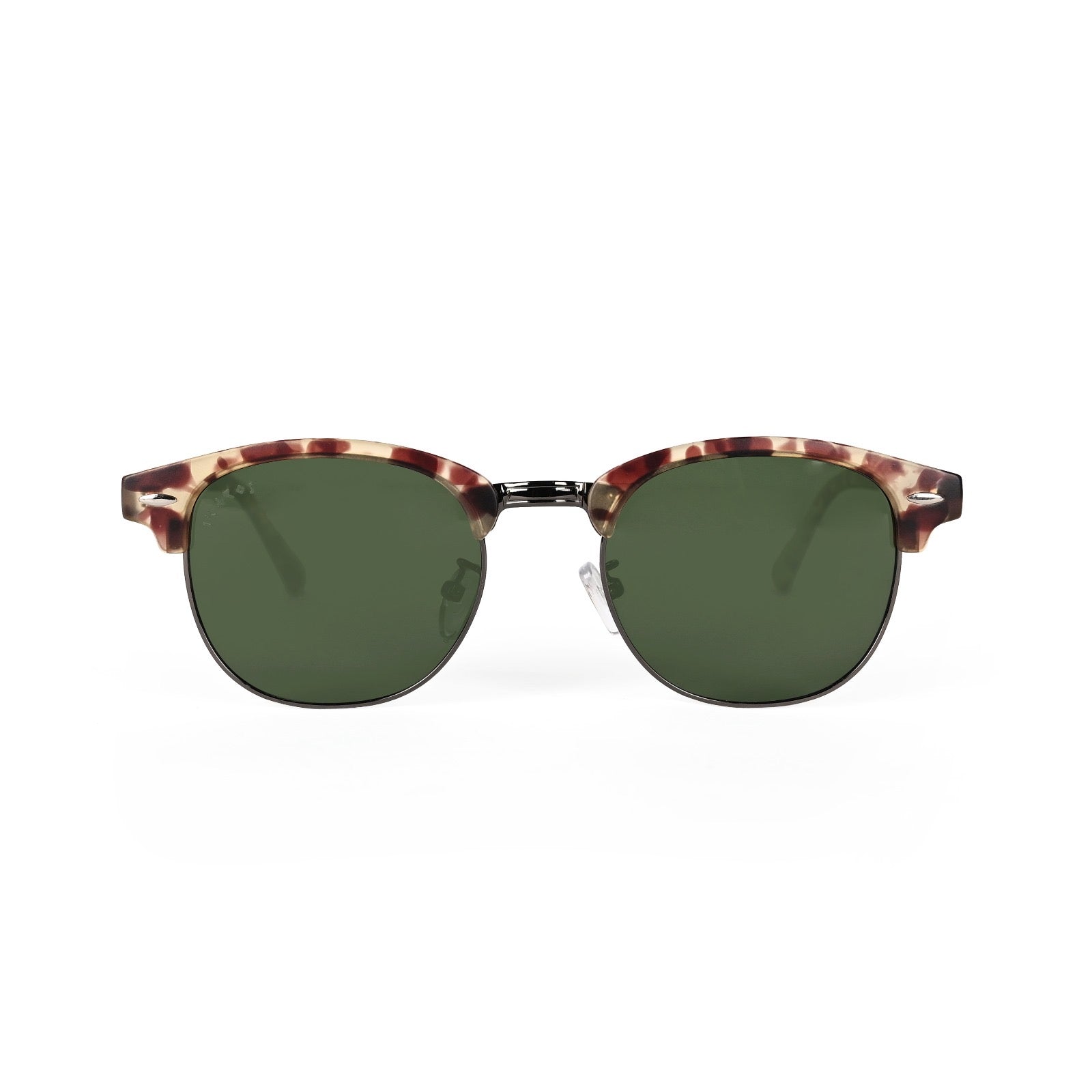 CM | Tortoise
