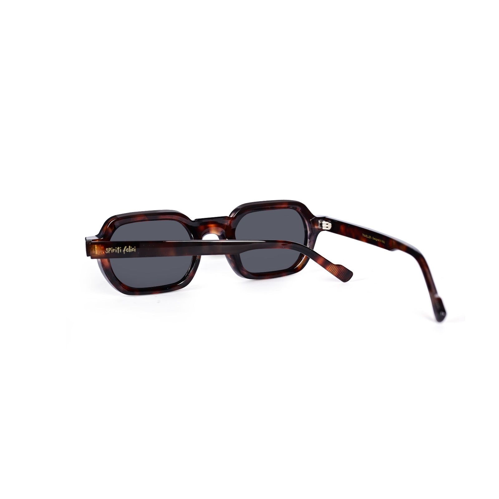 Traveller | Tortoise