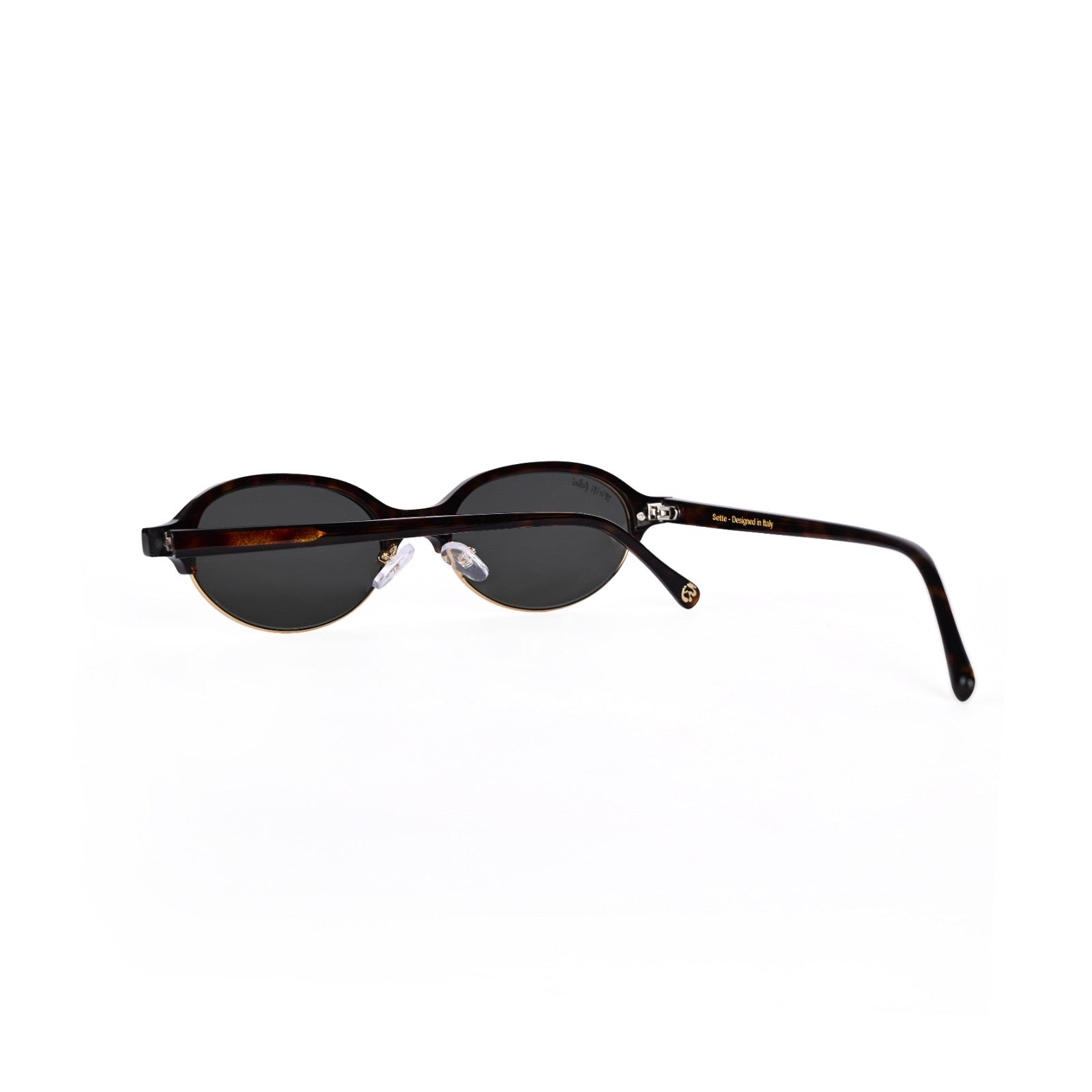Sette | Tortoise